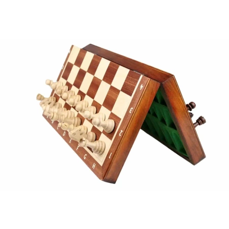 Small Magnetic Chess Set with Chess Carrying Case - Best for Travel